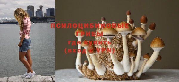 стафф Майский