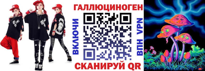 где можно купить   Богучар  Галлюциногенные грибы Cubensis 